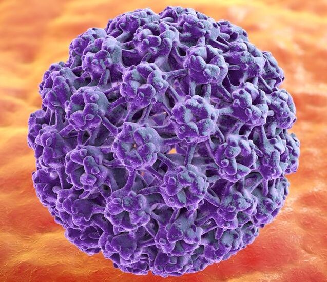 3D-modelo ng HPV na pumupukaw ng hitsura ng warts sa mga kamay